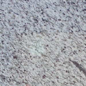 Kashmir White