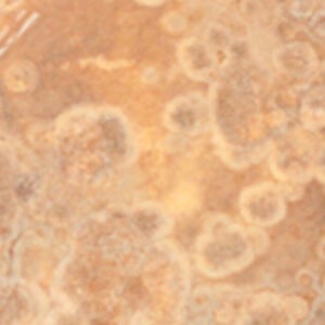 Onyx Oro