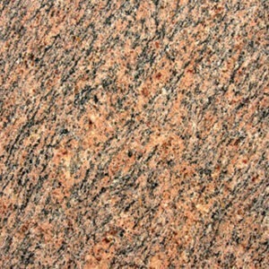 Cape Rose Fiorito